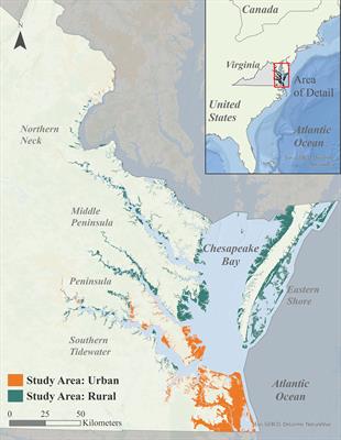 Prioritizing the protection and creation of natural and nature-based features for coastal resilience using a GIS-based ranking framework – an exportable approach